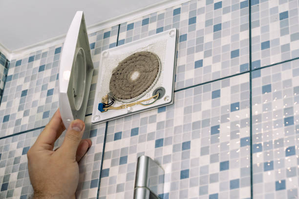 Best Affordable Duct Cleaning Services  in Muscatine, IA