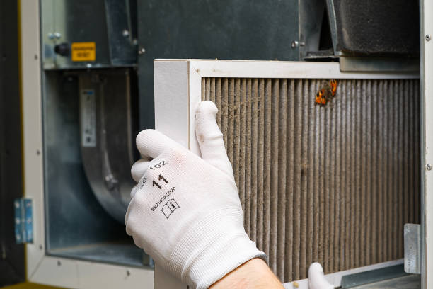 Best Affordable Air Duct Cleaning  in Muscatine, IA