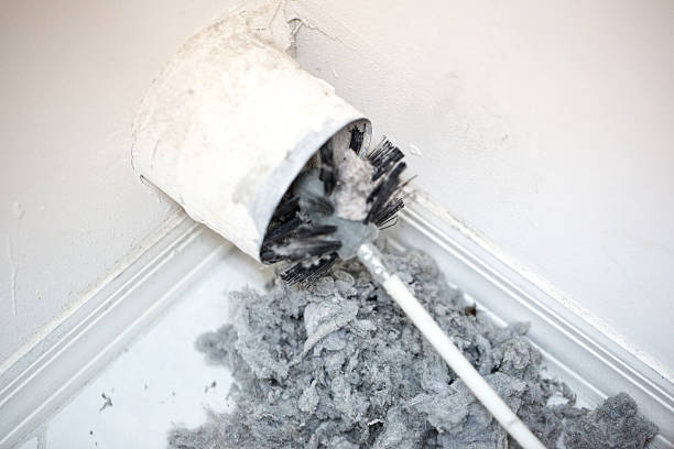 Best Residential Air Duct Cleaning  in Muscatine, IA